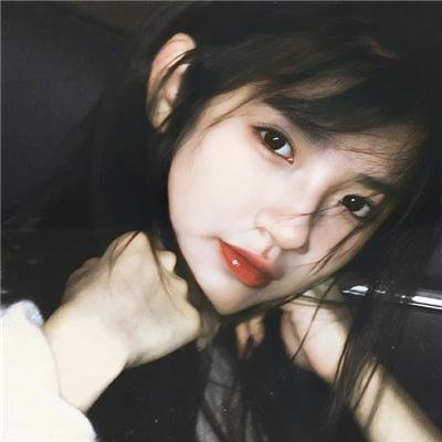 小犬与女孩